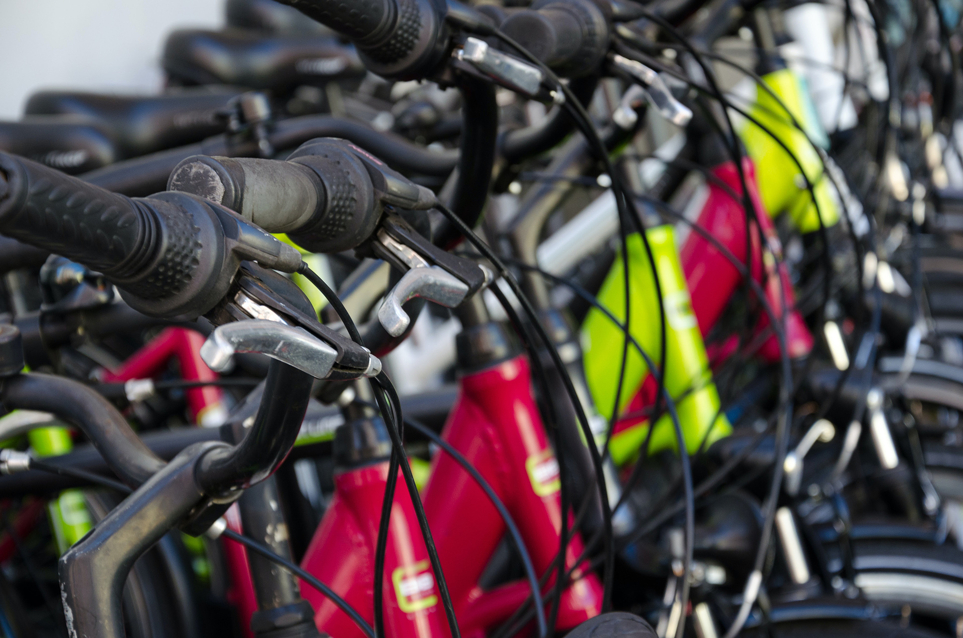 Bike rental store as a sample for renting Business Ideas